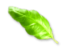 rev_home5_3