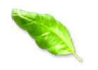 rev_home5_3