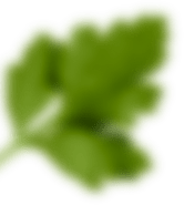 rev_home5_5