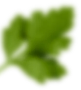 rev_home5_5